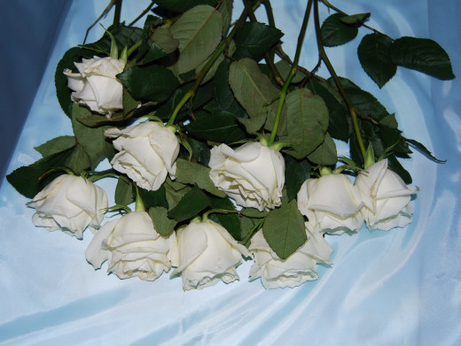 726694 (a): :2592x1946